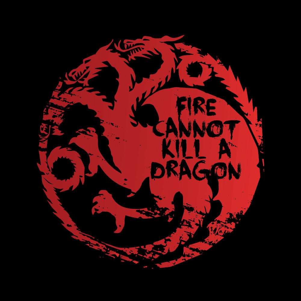 T-SHIRT FIRE CANNOT KILL A DRAGON - Nerdoverdose