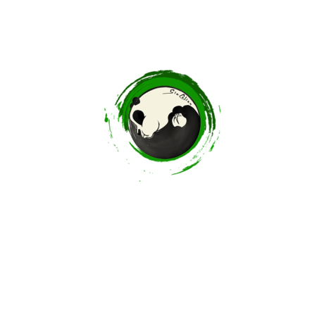 FELPA ROUND GIOCALIEN - PANDA GREEN TAO