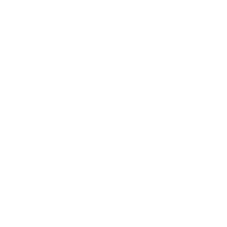T-SHIRT QUEENS ARE BORN IN NOVEMBER BIANCO
