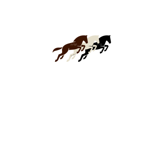 681078 538x538%23 0751 cavalli skyrim scritte bianche